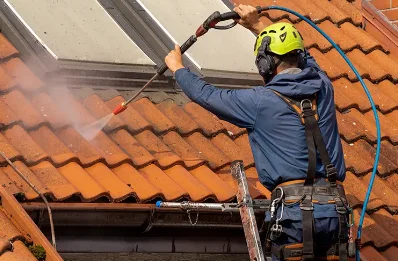Démoussage et hydrofuge de toiture à Laramière